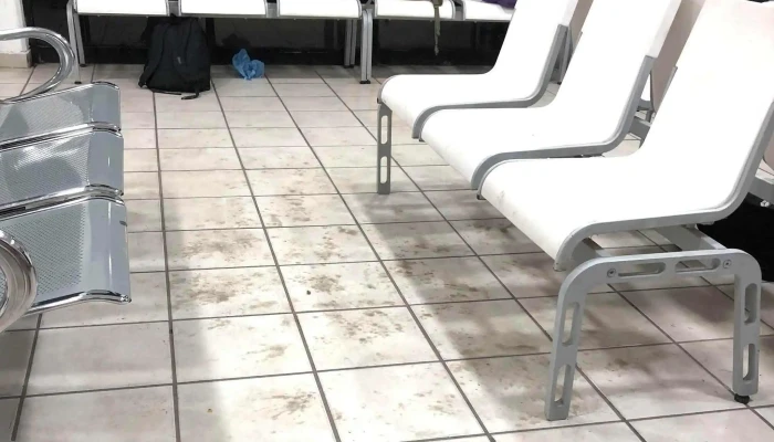 Autobuses Tim Premier -    Los Mochis Cerca De Mi - Los Mochis
