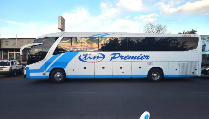 Autobuses Tim Premier Guasave -  Numero - Guasave