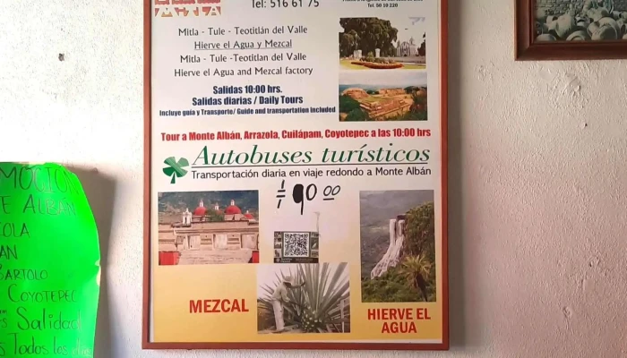 Autobuses Turisticos Donde - Oaxaca de Juárez