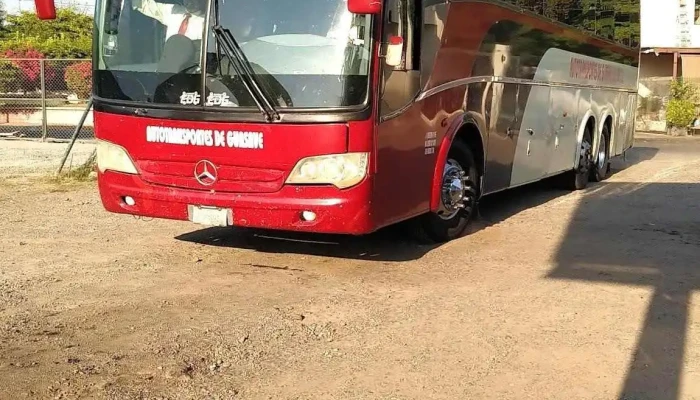 Autotransportes De Guasave -  Barcelona Bus Turistic - Guasave