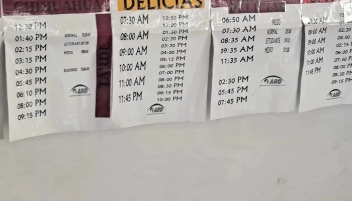 Autotransportes Rapidos Delicias Sa De Cv Telefono - Pedro Meoqui