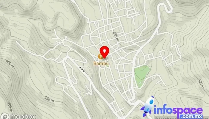 mapa de Autotransportes Zoque [Terminal Copainalá] Servicio de transporte en Copainalá