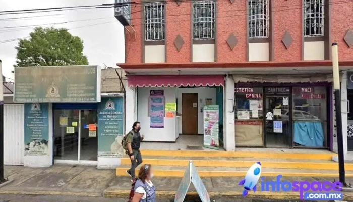 Av. Carlos Hank González - Celestes (Jacarandas) - Ciudad De México
