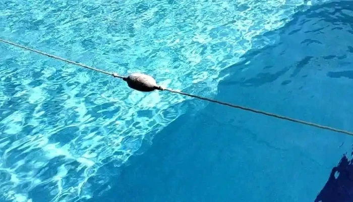 Balneario Agua Hedionda -  Videos - Cuautla