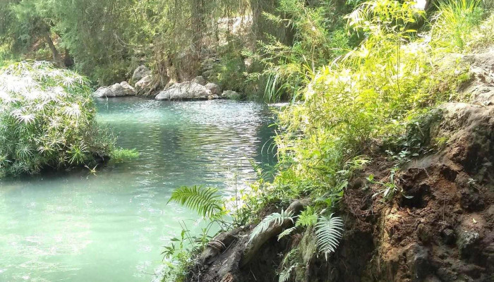 Balneario Itzamatitlan - Mor