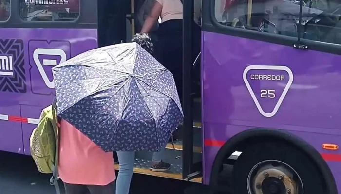 Base De Microbuses Al Metro Tasquena Videos - Xochimilco, Ciudad de México