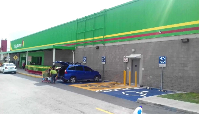 Bodega Aurrera Arbolada Los Sauces Estacionamiento - Zumpango de Ocampo