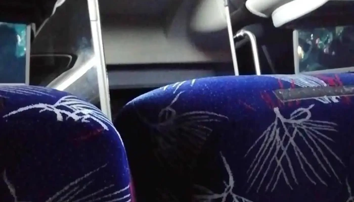 Caminante Terminal Toluca -  Videos - Toluca de Lerdo