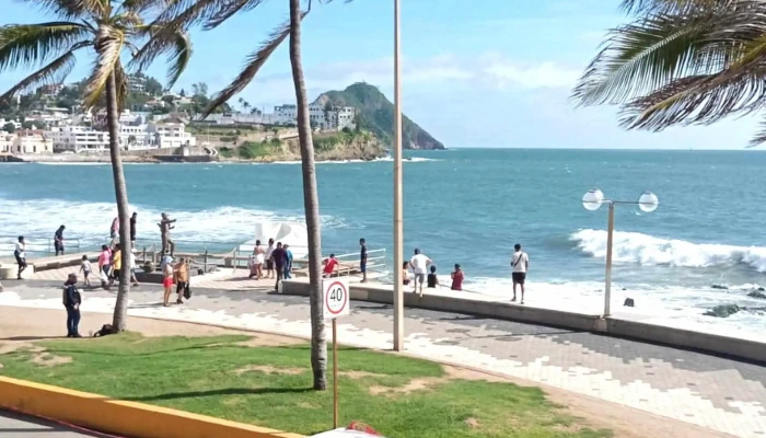 Carpa Olivera -  Abierto Ahora - Mazatlán