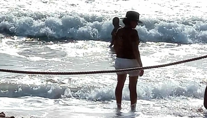 Carpa Olivera -  Direccion - Mazatlán