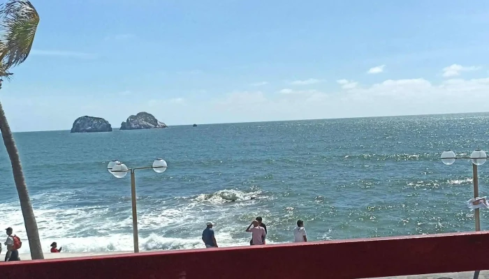 Carpa Olivera -  Horario - Mazatlán