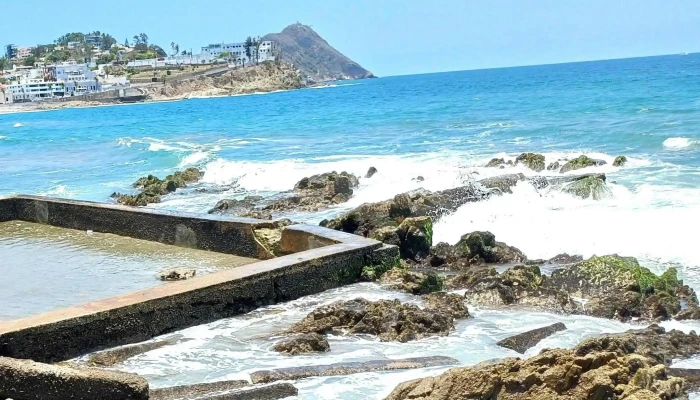 Carpa Olivera -  Opiniones - Mazatlán