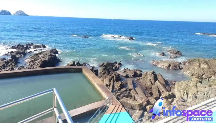 Carpa Olivera -  Videos - Mazatlán