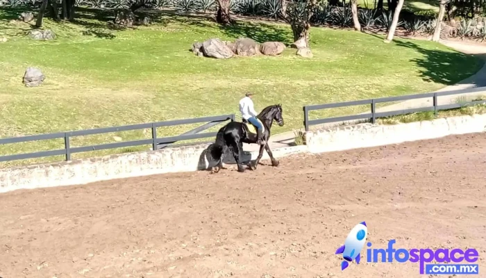 Carretera Jalmolonga Sn Videos - Malinalco