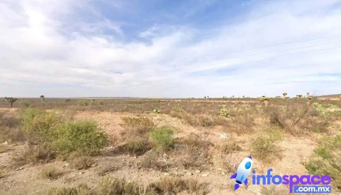 Carretera para ir al mezquite - 99159 Zac