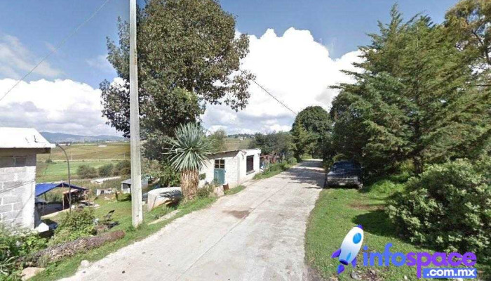 Cedro de la Manzana, San Jose del Rincon - Cedro De La Manzana
