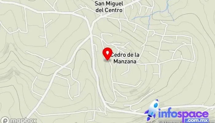mapa de Cedro de la Manzana, San Jose del Rincon Cibercafé en Cedro de la Manzana
