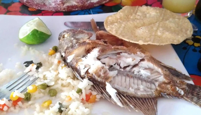 Central Camionera Chapala -  Instagram - Chapala