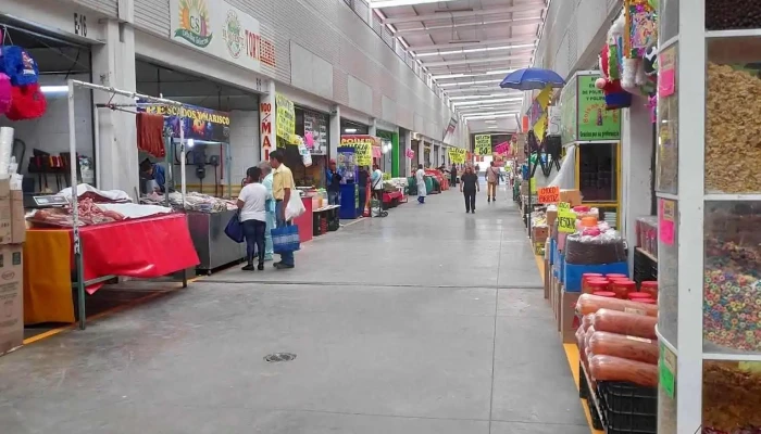 Central De Abastos San Vicente Chicoloapan -  Interior - Chicoloapan de Juárez
