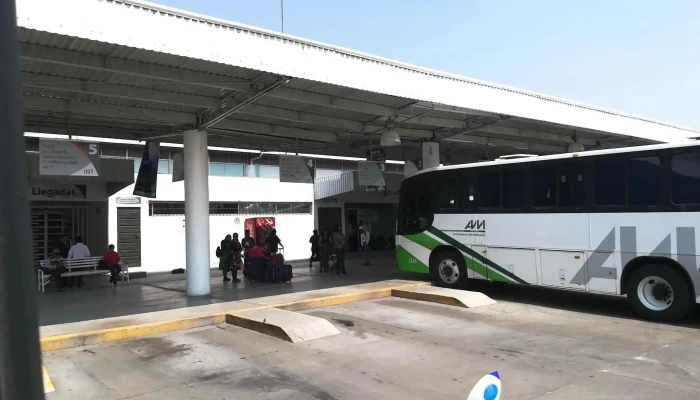 Central De Autobuses -  Autobus - Tepeji del Río de Ocampo