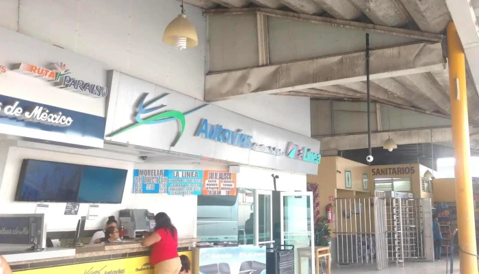 Central De Autobuses Ciudad Lazaro Cardenas Sitio Web - Cdad. Lázaro Cárdenas