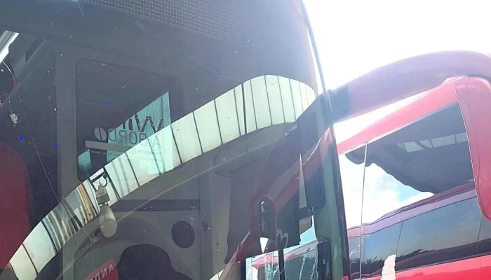 Central De Autobuses Del Sur Terminal Taxquena Fotos - Coyoacán, Ciudad de México