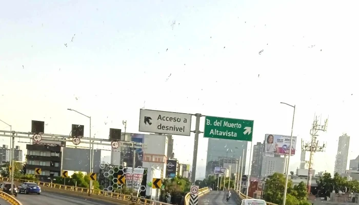 Central De Autobuses Etn Turistar En Toluca -  Videos - Toluca de Lerdo
