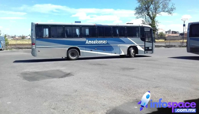 Central De Autobuses La Piedad -  Sitio Web - Amealco de Bonfil