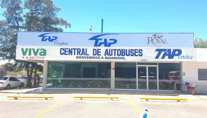 Central De Autobuses Omnibus De Mexico Guamuchil Sinaloa -  Automovil - Guamúchil