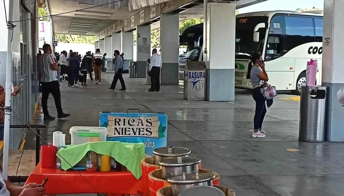 Central De Autobuses -  Telefono - San Juan del Río