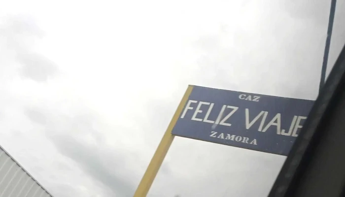Central De Autobuses Zamora -  Telefono - Zamora de Hidalgo