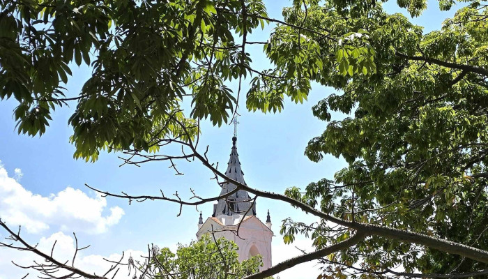 Centro De Las Artes De San Agustin Casa Precios - San Agustín Etla