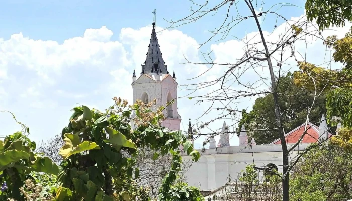 Centro De Las Artes De San Agustin Casa Videos - San Agustín Etla
