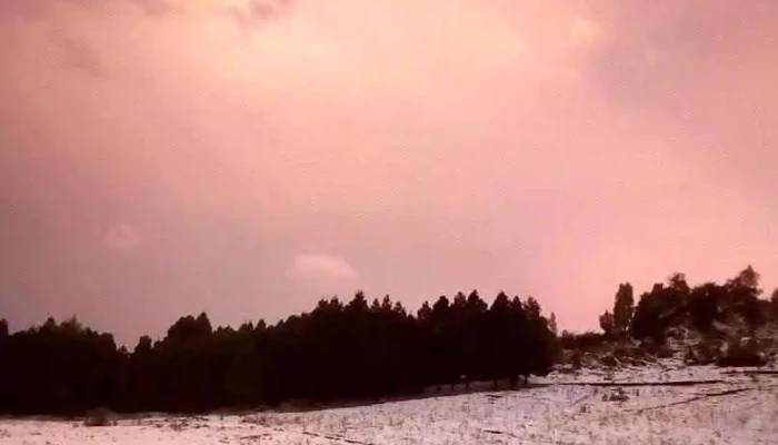 Cerro del Murciélago - Cerro Del Murciélago