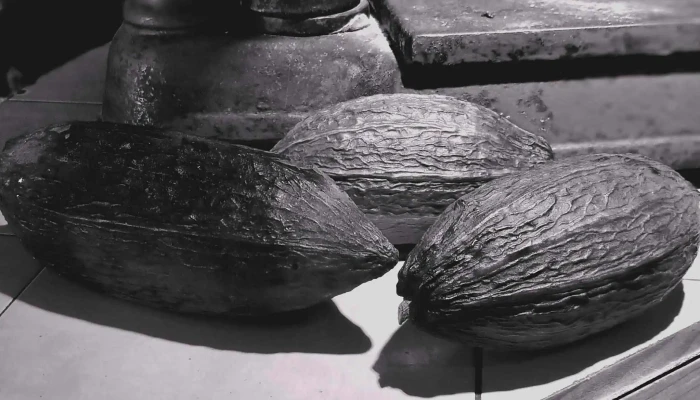Chocolate La Autentica Tradicion Descuentos - Tlacolula de Matamoros