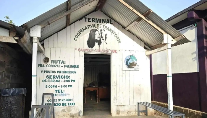 Collectivo Terminal -  Principal - Cedro