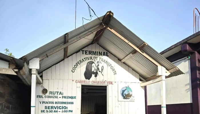 Collectivo Terminal -  Sitio Web - Cedro