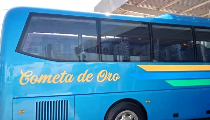 Cometa De Oro -  Numero - Jaltenco