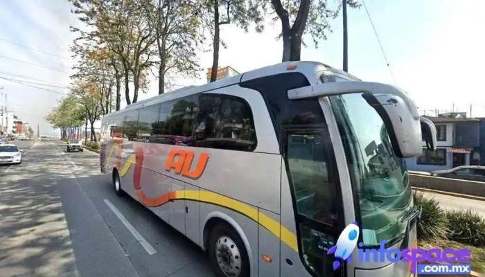 Conextla Xalapa - Miguel Hidalgo