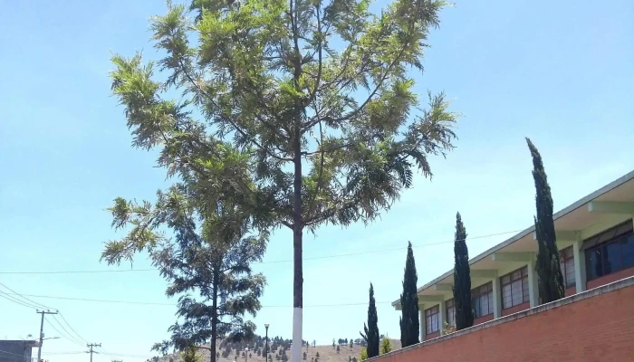 Conjunto urbano La Loma 1 lomas del valle 40a - Conjunto Urbano La Loma I