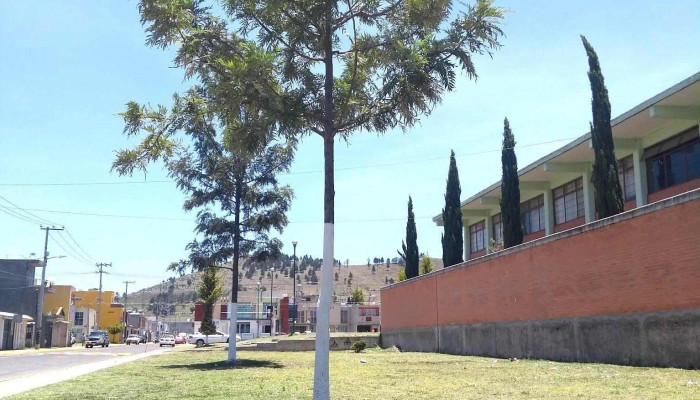 Conjunto Urbano La Loma 1 Lomas Del Valle 40a -  De Los Visitantes - Conjunto Urbano la Loma I