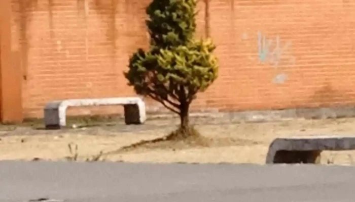 Conjunto Urbano La Loma 1 Lomas Del Valle 40a -  Exterior - Conjunto Urbano la Loma I