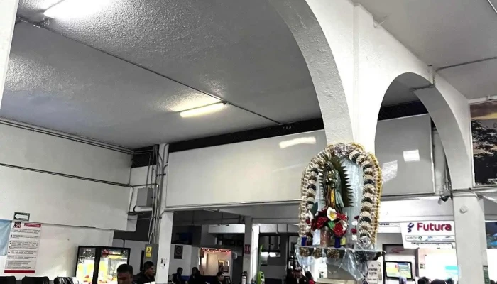 Costaline Cuernavaca -  Mas Recientes - Cuernavaca