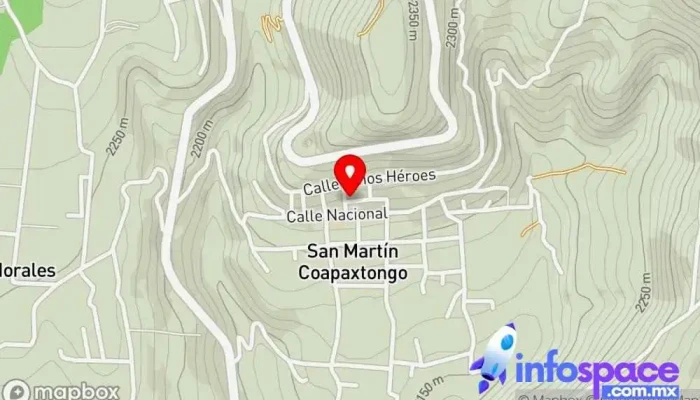 mapa de Delegación San Martin Coapaxtongo Asociación u organización en Tenancingo de Degollado