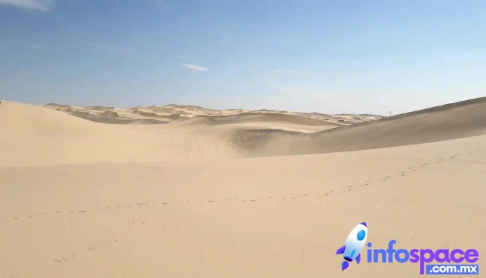 Dunas De Samalayuca Chihuahua Area De Proteccion De Flora Y Fauna Medanos De Samalayuca - El Paso