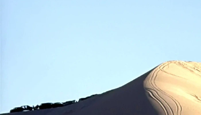 Dunas De Samalayuca Chihuahua Fotos - El Paso