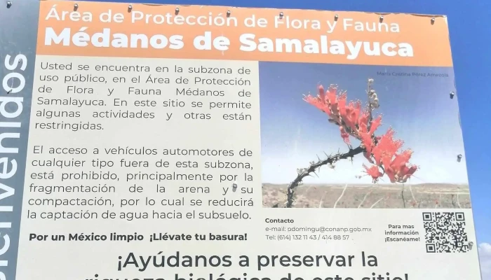 Dunas De Samalayuca Chihuahua Promocion - El Paso