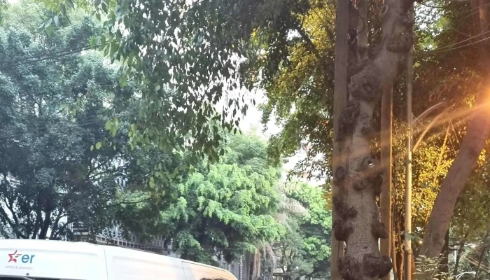 Ebus -  Cerca De Mi - Miguel Hidalgo, Ciudad de México