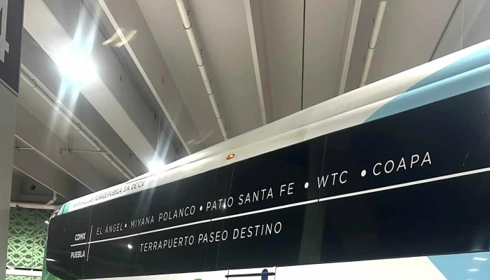 Ebus Terrapuerto El Angel Telefono - Cuauhtémoc, Ciudad de México