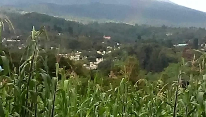 Ecatzingo De Hidalgo -  Montana - Ecatzingo de Hidalgo
